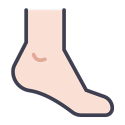 Gevoerde zool